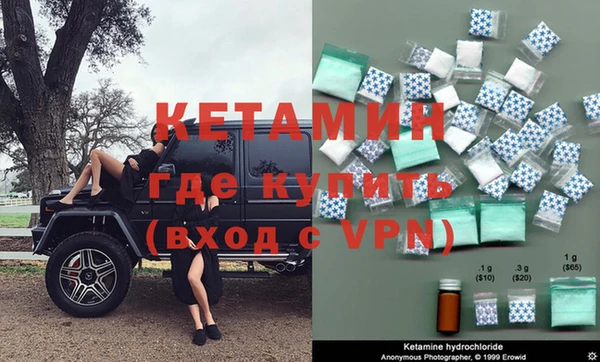 сатива Горняк