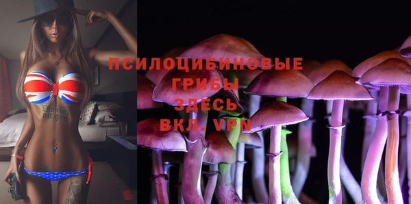 круглые Горно-Алтайск