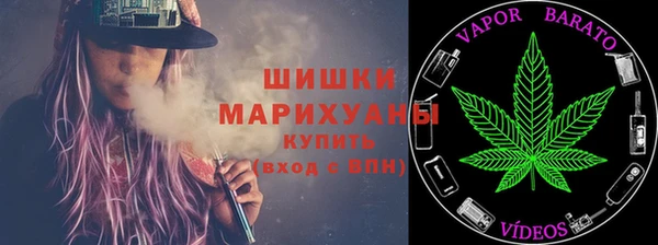гидра Горнозаводск