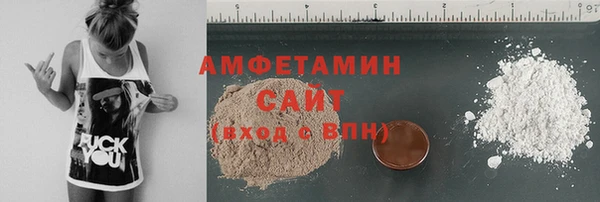 сатива Горняк