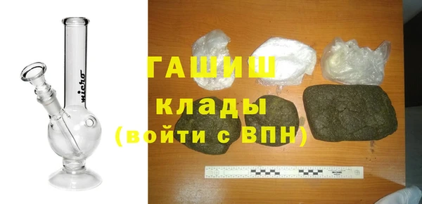 сатива Горняк