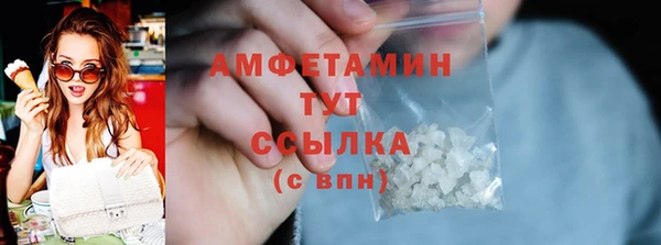 гидра Горнозаводск
