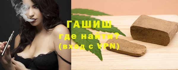 гидра Горнозаводск