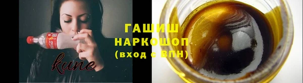 сатива Горняк