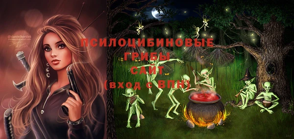 гидра Горнозаводск