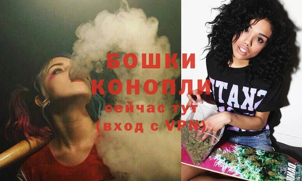 дживик Шарыпово