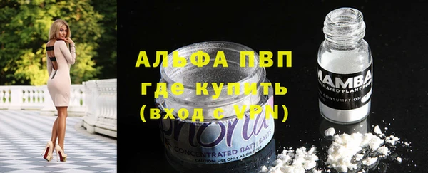 гидра Горнозаводск
